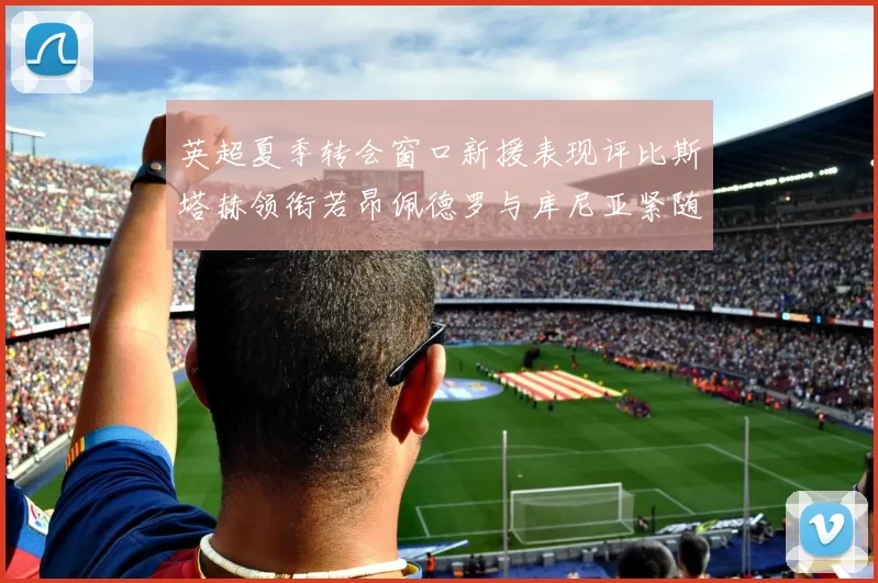 英超夏季转会窗口新援表现评比斯塔赫领衔若昂佩德罗与库尼亚紧随其后